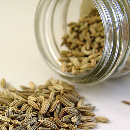 Sowing the A Rocha seed in Canada - A Rocha BlogA Rocha Blog