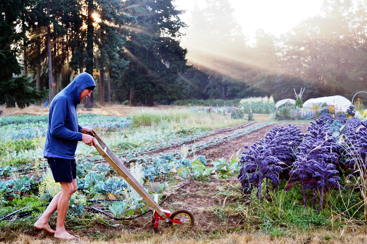 Harold doing barefoot gardening