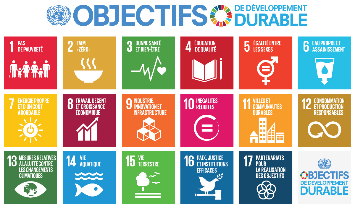 SDG Objectifs de Développement Durable 1200px