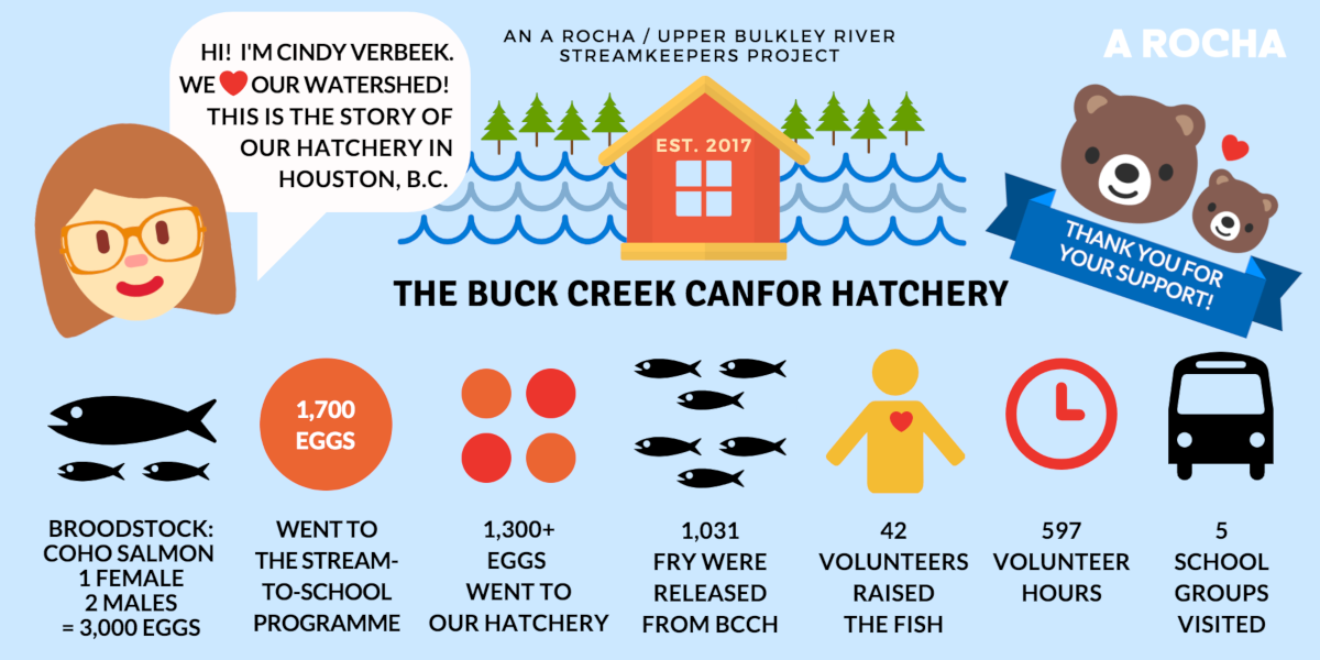 Buck Creek Canfor Hatchery results